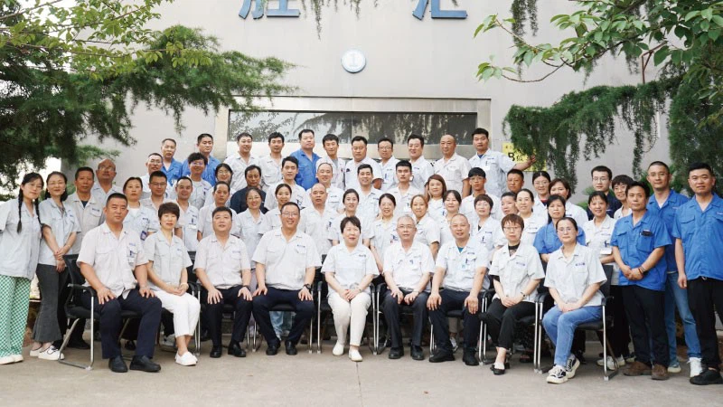 expert-team expert-team